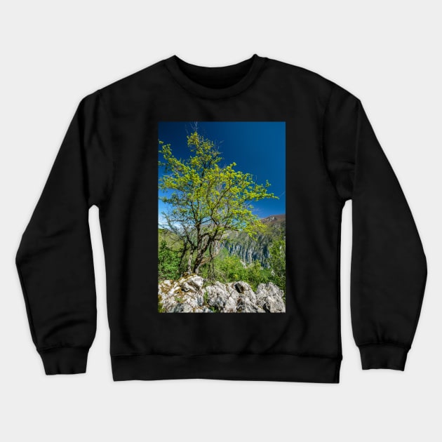 Limestone mountains Crewneck Sweatshirt by naturalis